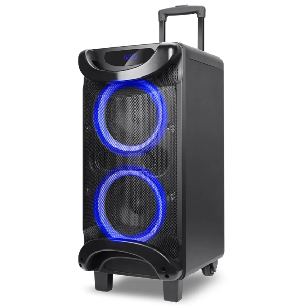 Haut parleur SUBWOOFER GS L0622