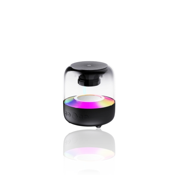 Haut Parleur Bluetooth INKAX BS-32 - NOIR