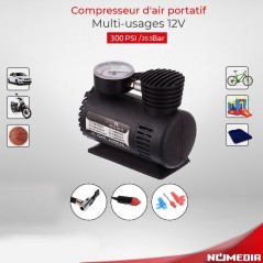 Compresseur d'air portatif multi-usages 12V (DC12V)