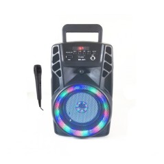 Haut parleur MK-601 Bluetooth Radio FM 5Watts avec Microphone 