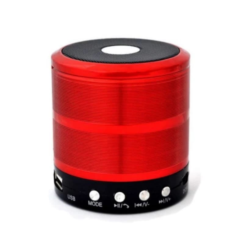 Haut Parleur Bluetooth WS887A rechargeable