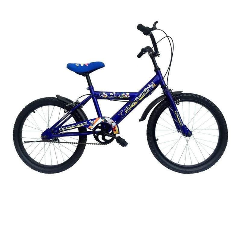Vélo 20 Garçon Happy Park Zimota (10040001)