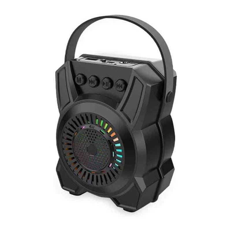 Haut Parleur BT ZQS1316