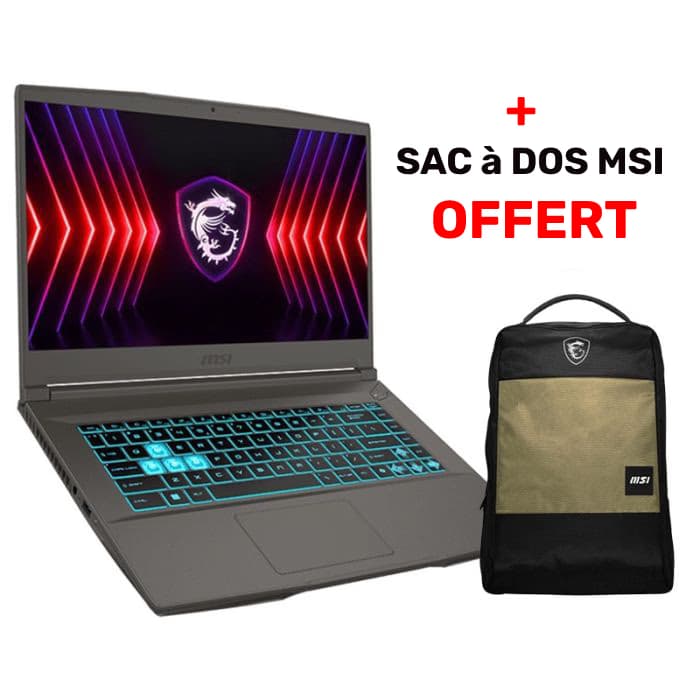 PC Portable Gamer MSI Thin 15 B13UCX i7 13è Gén 8Go RTX 2050