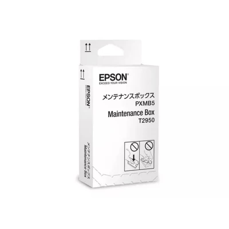 Récupérateur d'encre Epson WF 100  (C13T295000)