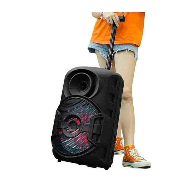 Haut Parleur ZQS-12106 Bluetooth MP3 Radio FM 30Watts