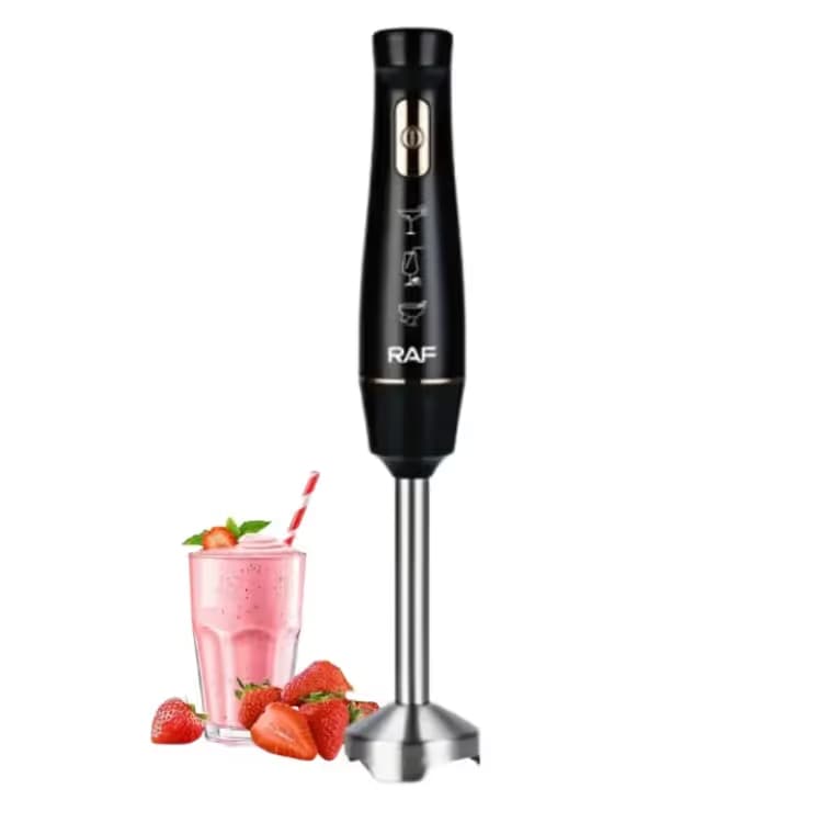 Mixeur Plongeant 800W Raf - R.303B Noir